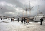 Market Square Harbor