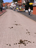 Wilhelmstrasse poop