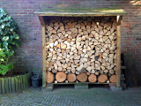 Paterswolde wood 2013