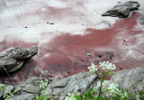 Les Sables Rouges