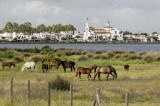 El Rocio