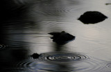 one drop at a time 038
