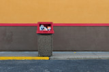 Popeyes Chicken