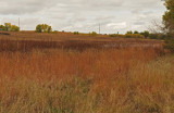 Bluestem Prairie Preserve