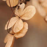 the dead of winter