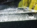 weir-IMG_0026.jpg