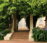 Ian Potter House Side Entrance