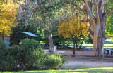 Autumn in the Park