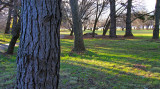 Near the Lake
