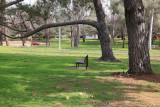 The Park Bench