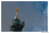 pbase-Paris-0413.jpg