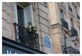 pbase-Paris-0426.jpg