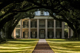 Oak Alley plantation December morning