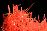 DSCN0416aa.jpg