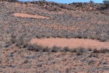 Fairy Circles _MG_0100.jpg