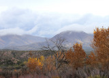 Bosque del Apache NWR