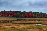 Autumn trees and river-2.jpg
