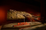 DSC_3742.jpg