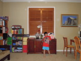 DSCN9376.JPG