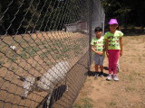 DSCN9680.JPG
