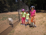 DSCN9681.JPG