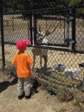 DSCN9684.JPG