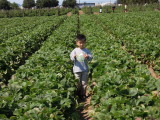 DSCN9737.JPG