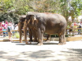 DSCN0243.JPG