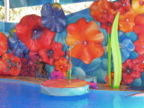 DSCN0303.JPG