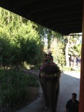 six_flags_elephant_1_08_2013.JPG