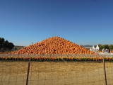 DSCN0582.JPG