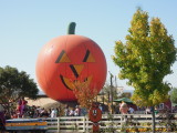 DSCN0599.JPG