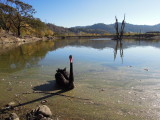 DSCN0659.JPG