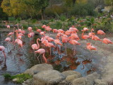 DSCN0675.JPG