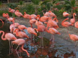 DSCN0676.JPG