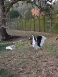 DSCN0691.JPG