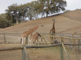 DSCN0717.JPG