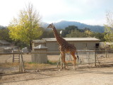 DSCN0729.JPG