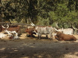 DSCN0771.JPG