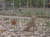 DSCN0861.JPG
