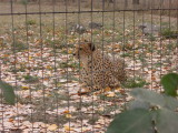 DSCN0865.JPG