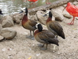 DSCN0868.JPG