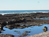 DSCN1796.JPG