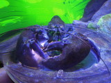 DSCN9904.JPG