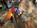 DSCN0208.JPG