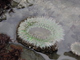 DSCN2514.JPG