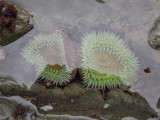 DSCN2515.JPG
