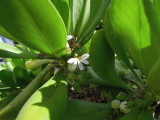 DSCN4543.JPG