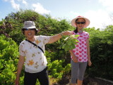 DSCN4551.JPG