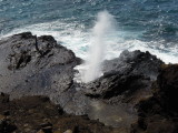 DSCN4565.JPG